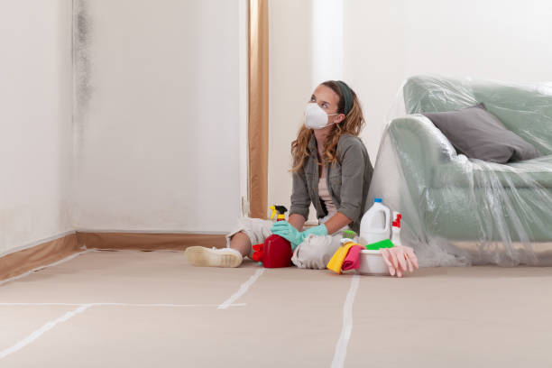 Reliable Mold Remediation contractor in Purcellville, VA by WQB Mold Removal