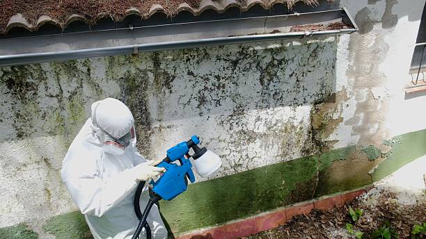 Top rated local Mold Remediation specialists in Purcellville, VA
